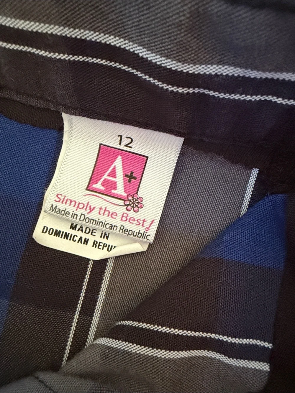 Pleated Plaid School Skirt in Blue and Gray Private School Size 12